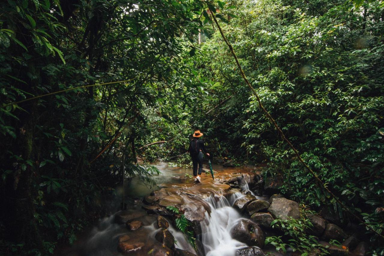 La Tigra Rainforest Lodge La Fortuna Kültér fotó
