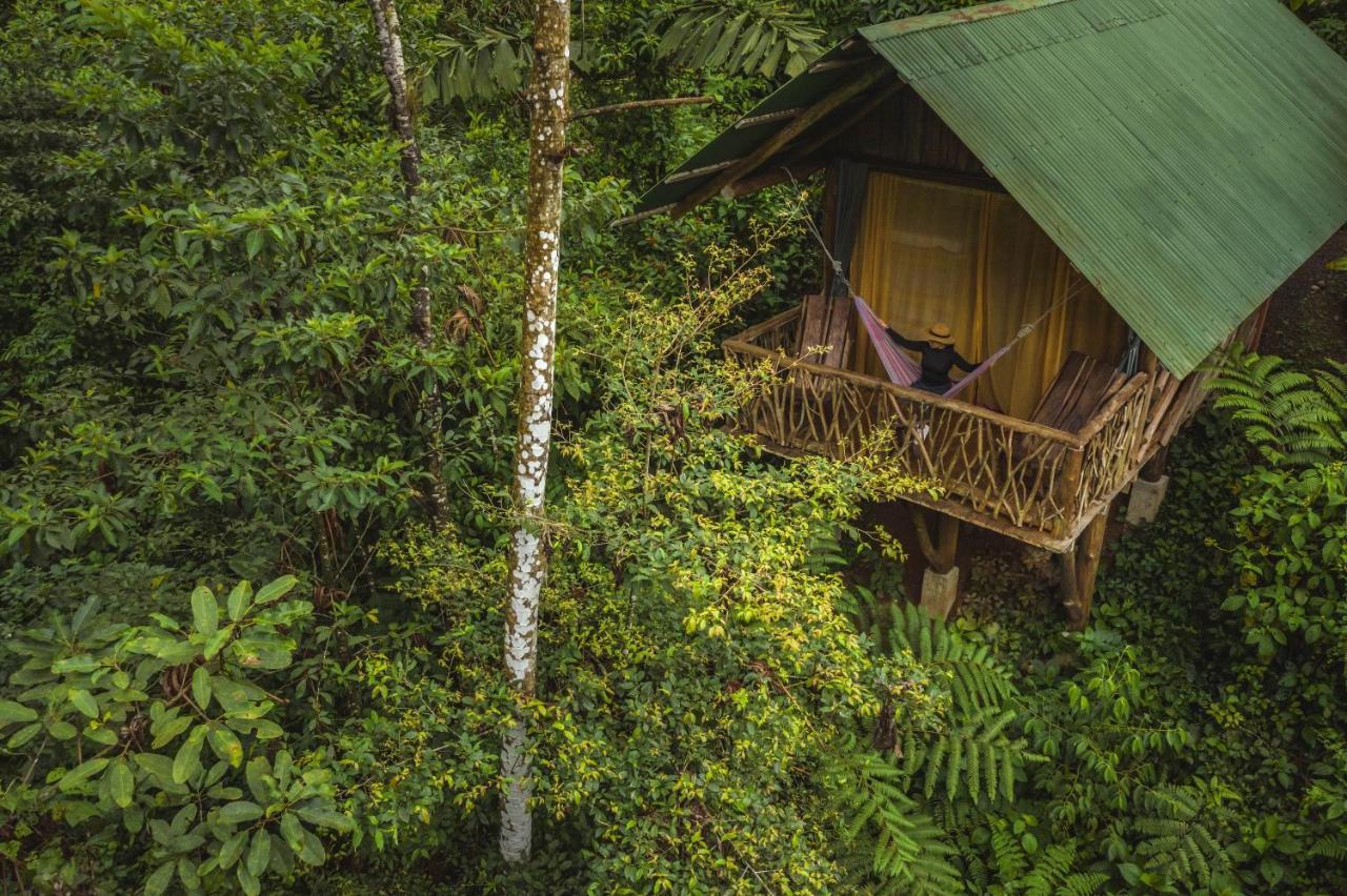La Tigra Rainforest Lodge La Fortuna Kültér fotó