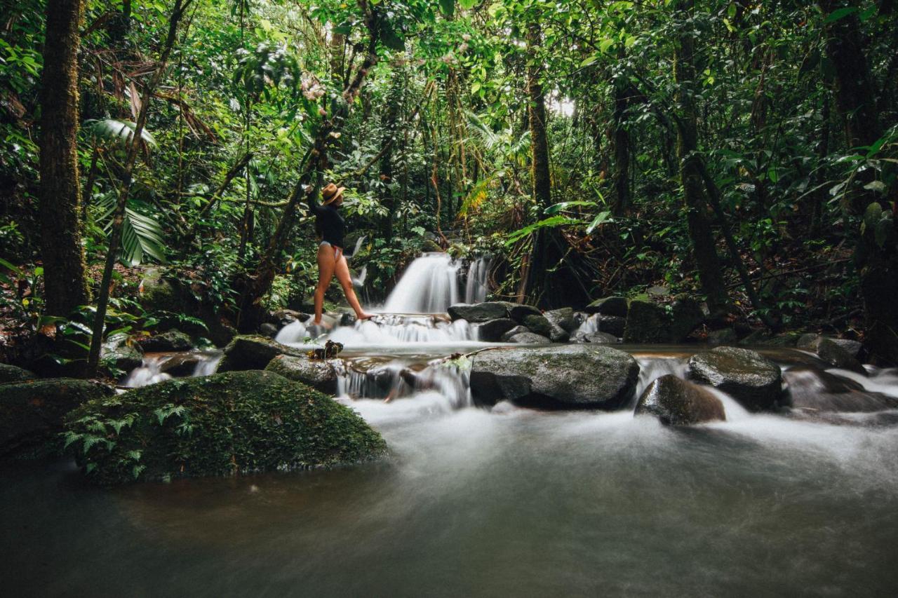 La Tigra Rainforest Lodge La Fortuna Kültér fotó