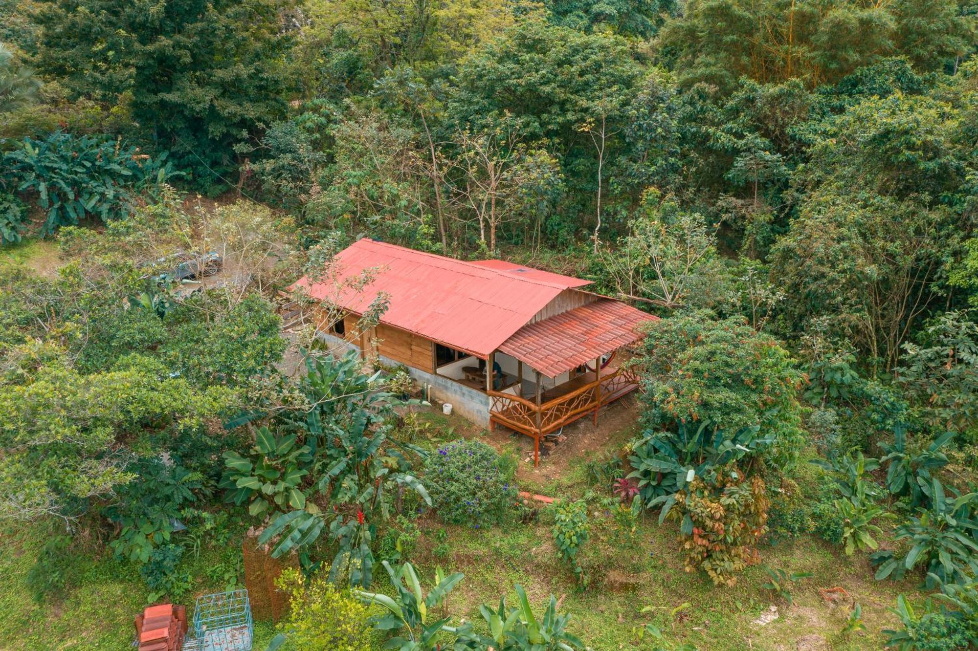 La Tigra Rainforest Lodge La Fortuna Kültér fotó