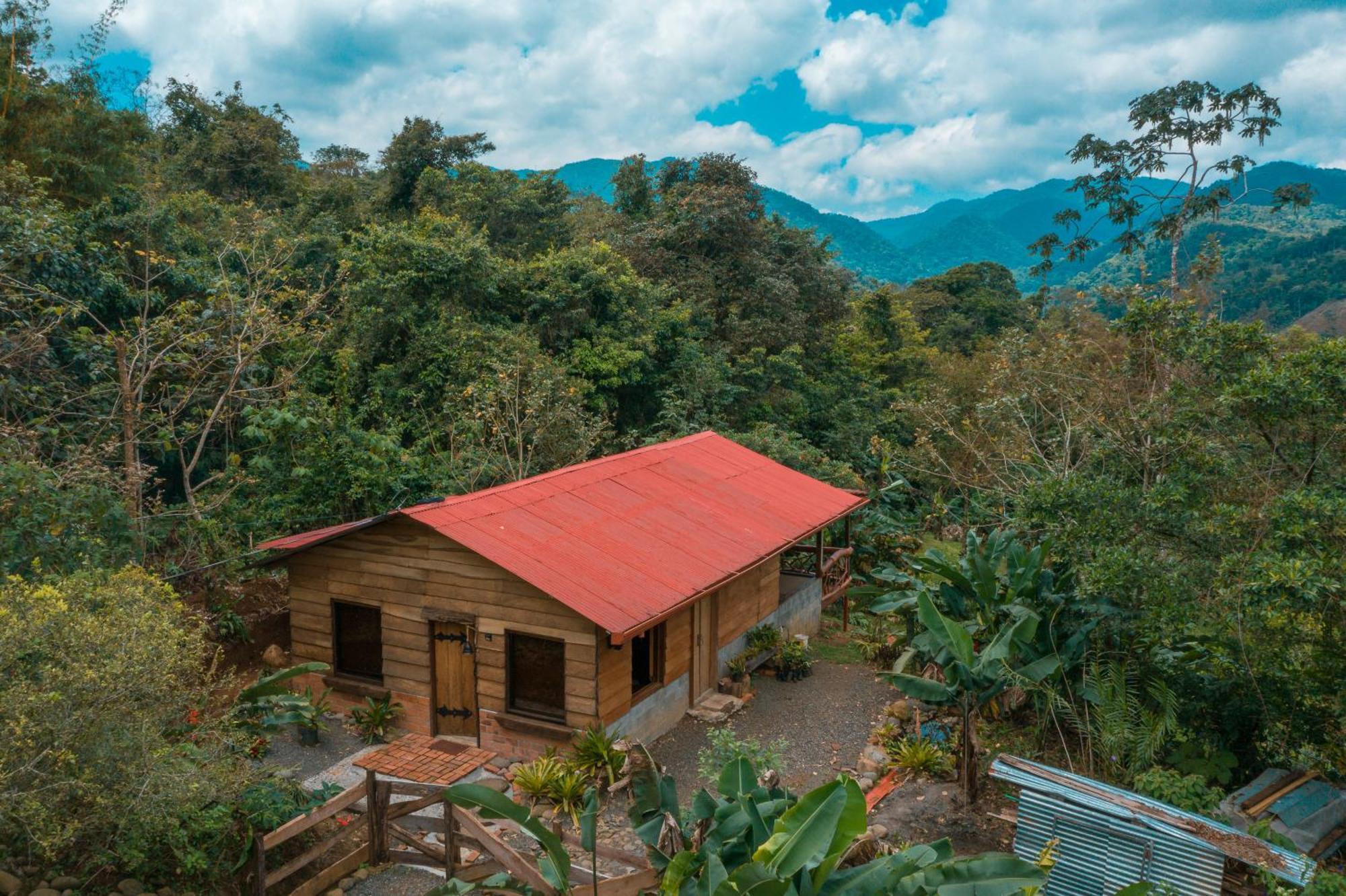La Tigra Rainforest Lodge La Fortuna Kültér fotó