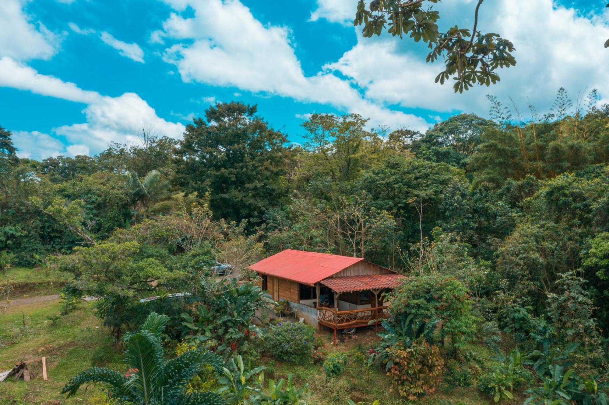 La Tigra Rainforest Lodge La Fortuna Kültér fotó