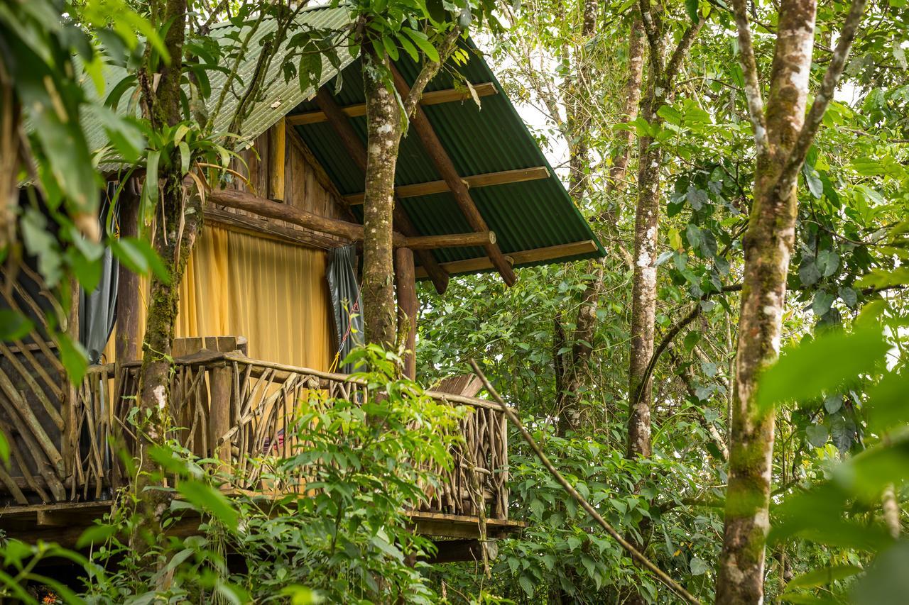 La Tigra Rainforest Lodge La Fortuna Kültér fotó