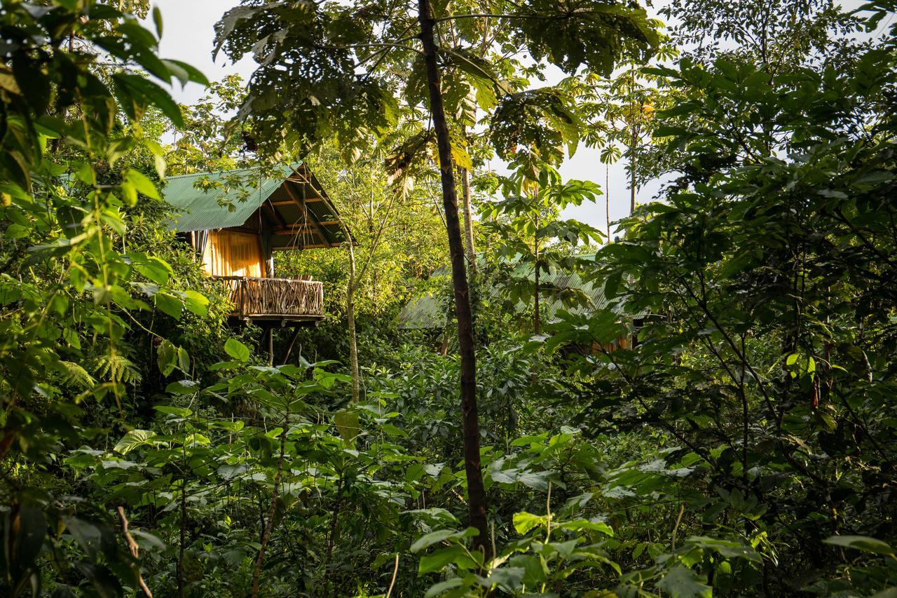 La Tigra Rainforest Lodge La Fortuna Kültér fotó