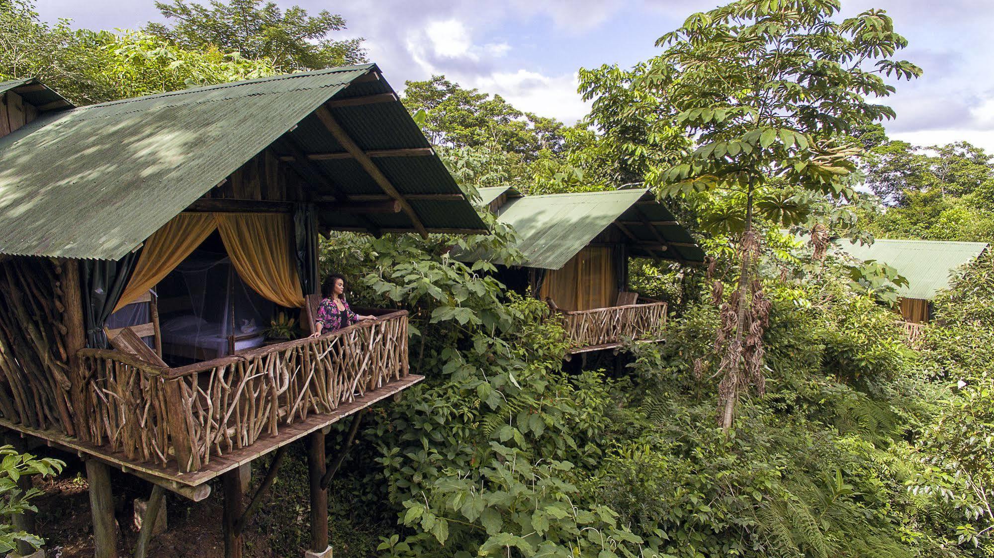 La Tigra Rainforest Lodge La Fortuna Kültér fotó