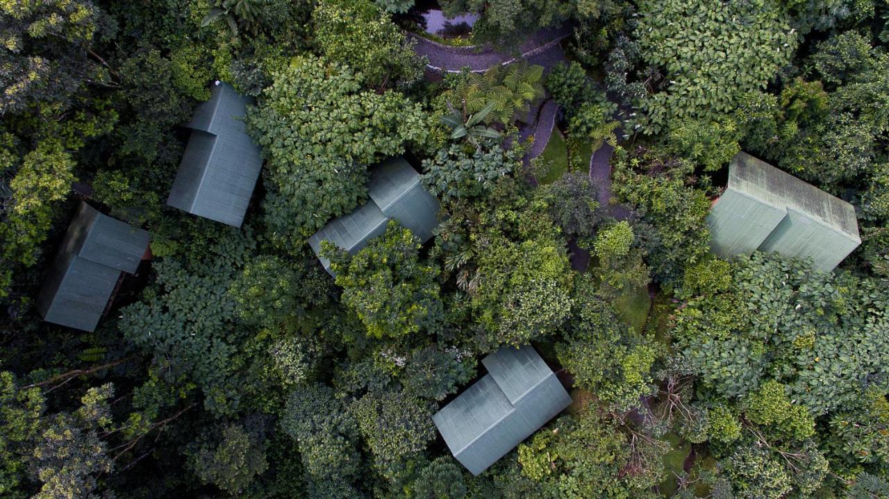 La Tigra Rainforest Lodge La Fortuna Kültér fotó